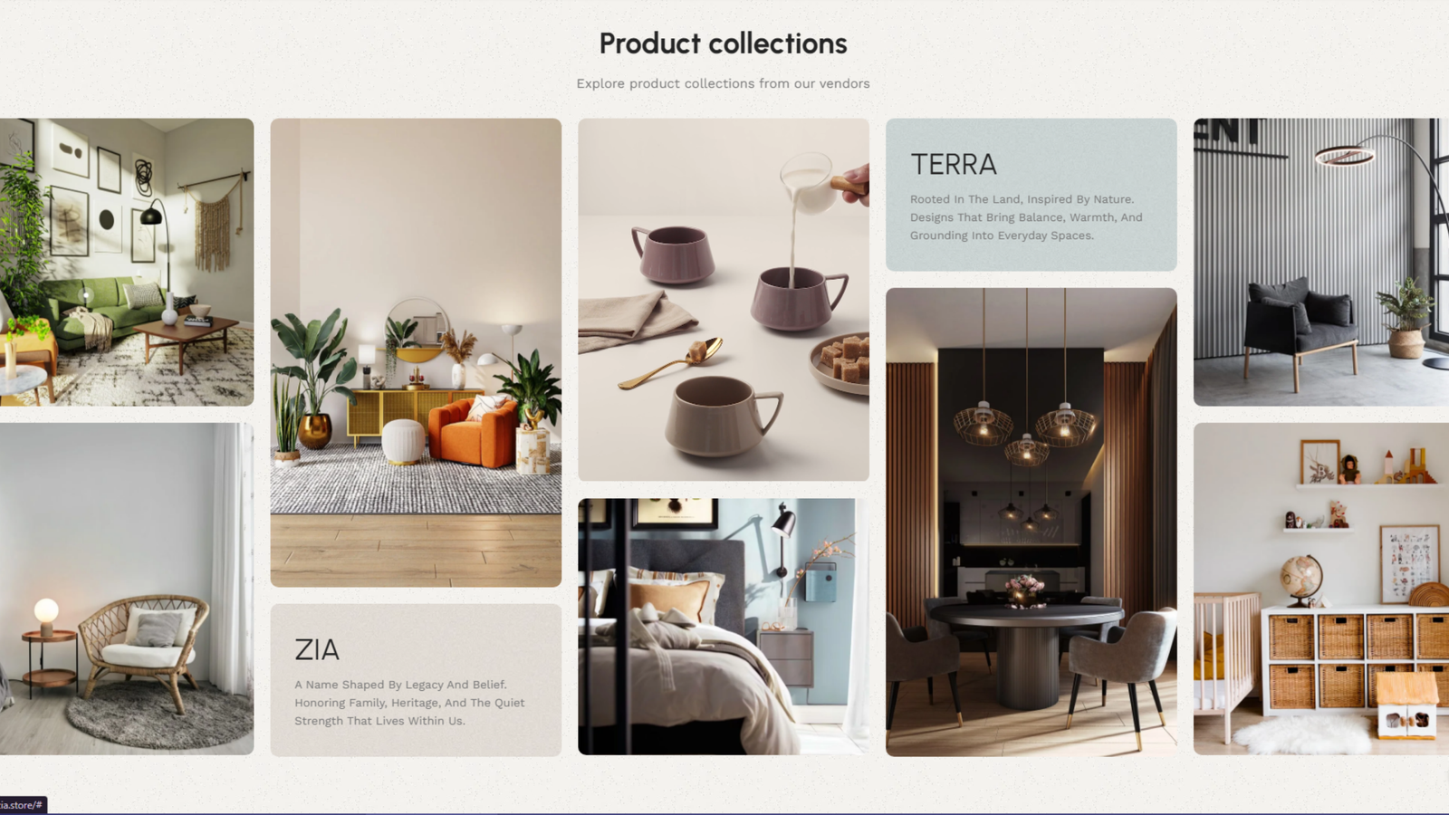 Terra Zia website banner design by Anine® Agency